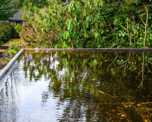 Drainage Design Must Haves For Flat Roof Replacements In Rain Prone